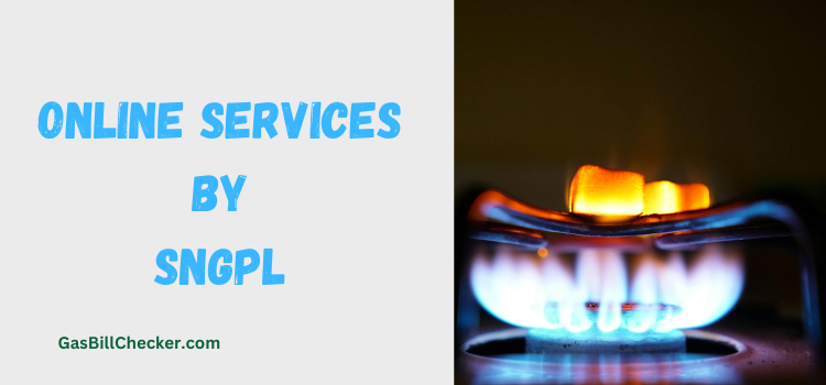 Online services by SNGPL